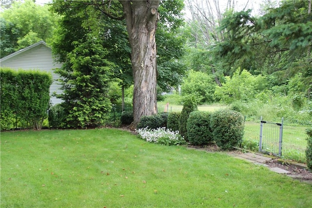 17 Hickok Ave, Norwich, NY 13815 - photo 12