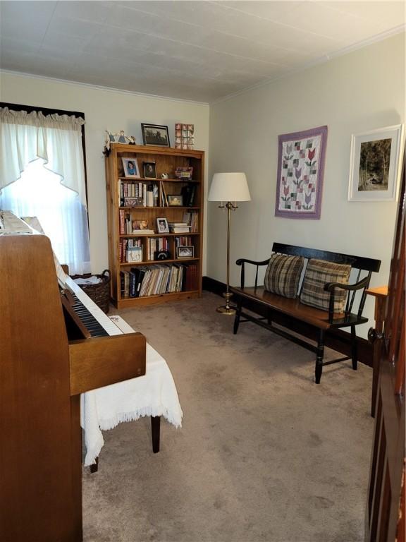 17 Hickok Ave, Norwich, NY 13815 - photo 24