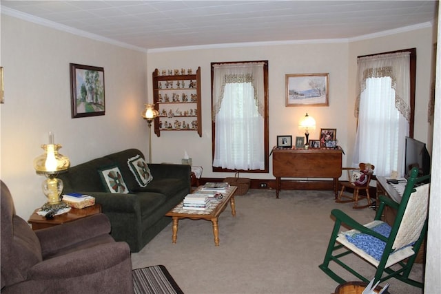 17 Hickok Ave, Norwich, NY 13815 - photo 22