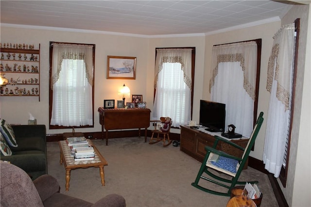 17 Hickok Ave, Norwich, NY 13815 - photo 23
