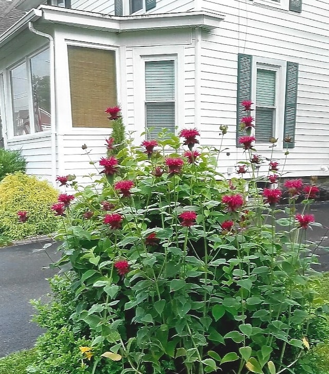 17 Hickok Ave, Norwich, NY 13815 - photo 3