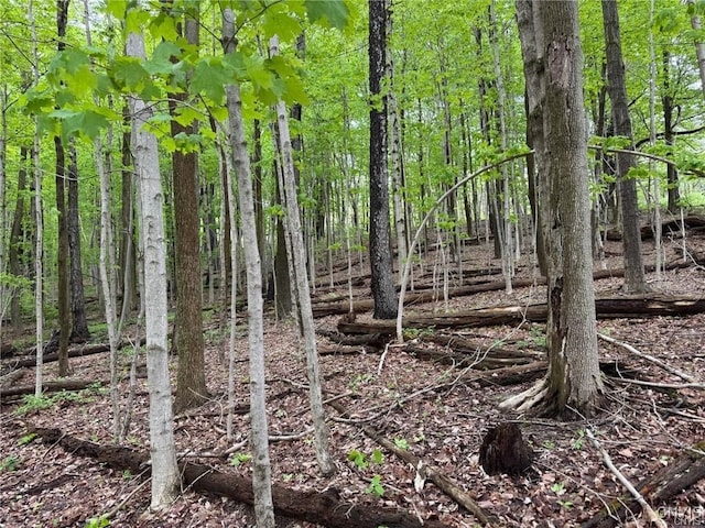 Old State Rd, Nelson, NY 13061