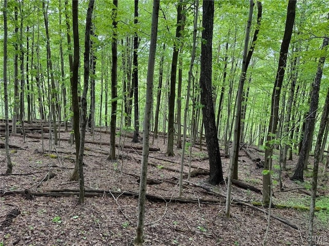 Old State Rd, Nelson, NY 13061