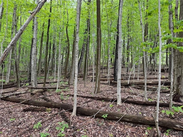 Old State Rd, Nelson, NY 13061