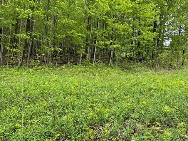 Old State Rd, Nelson, NY 13061