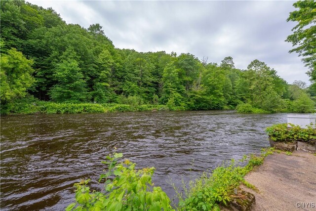 8425 Blossvale Rd Rd, Annsville, NY 13471 - photo 33