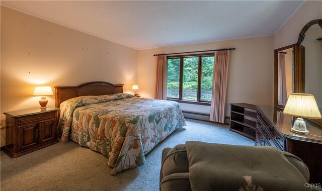 8425 Blossvale Rd Rd, Annsville, NY 13471 - photo 20