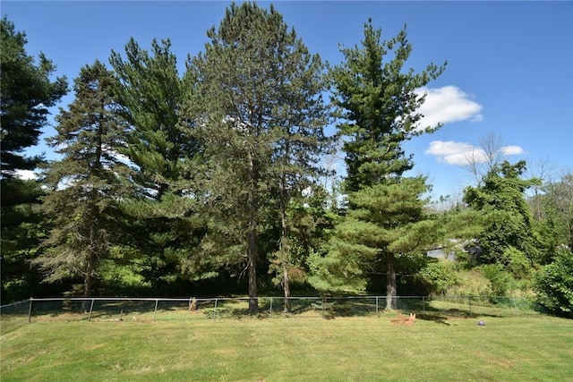 969 Erie Street Rd, Macedon, NY 14502 - view of yard with a forest view