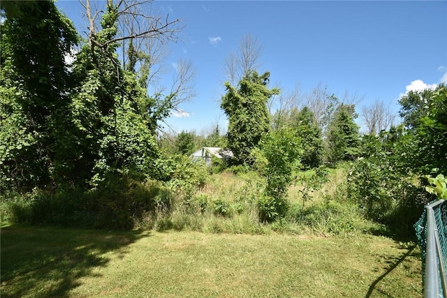 969 Erie Street Rd, Macedon, NY 14502 - view of grassy yard