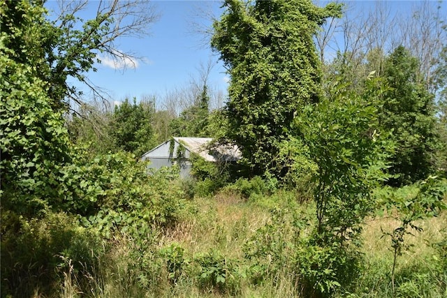 969 Erie Street Rd, Macedon, NY 14502 - view of local wilderness