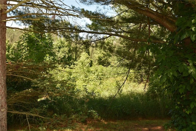 969 Erie Street Rd, Macedon, NY 14502 - view of wooded area