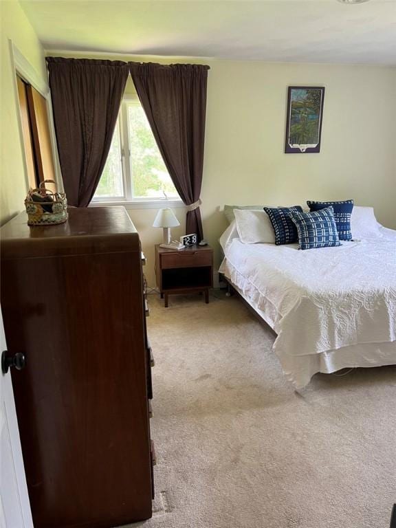 969 Erie Street Rd, Macedon, NY 14502 - bedroom featuring light colored carpet