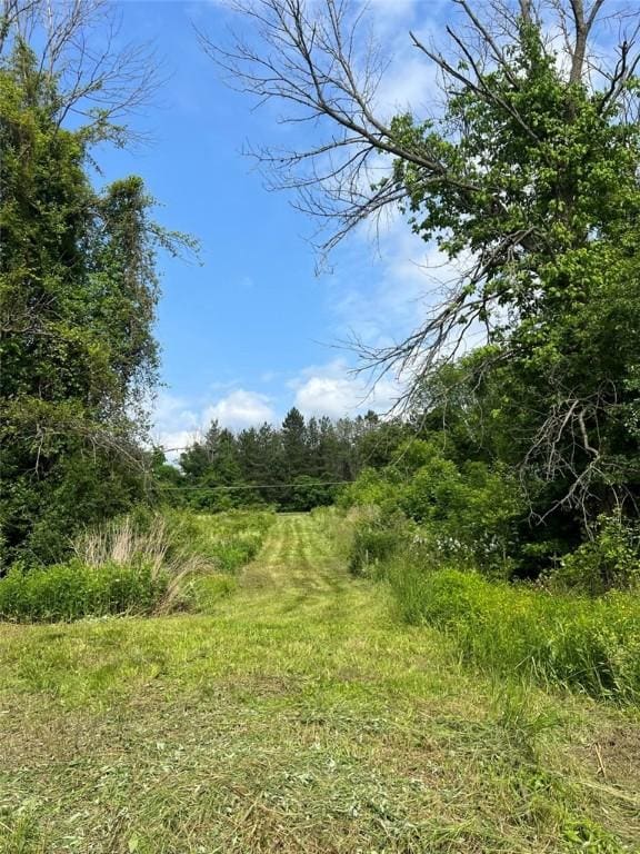 969 Erie Street Rd, Macedon, NY 14502 - view of tree filled area