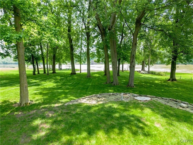 1664 S Ivy, Lysander, NY 13027 - view of grassy yard