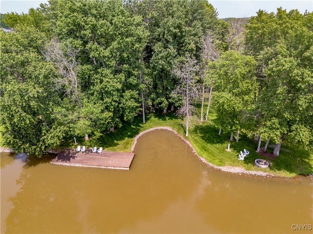 1664 S Ivy, Lysander, NY 13027 - bird's eye view of a large body of water