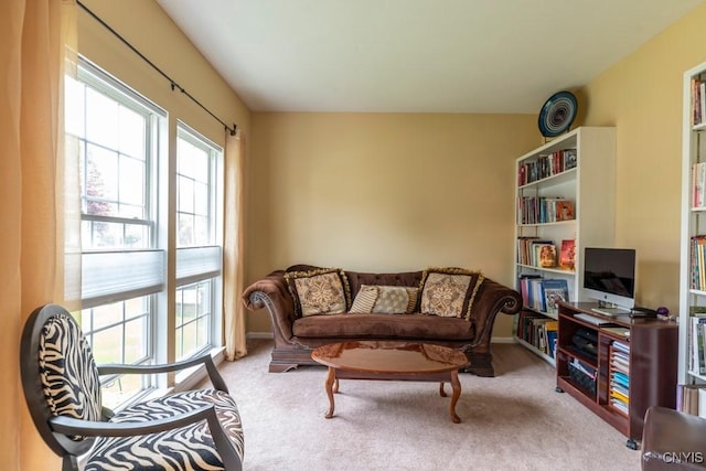 8228 Dampier Cir, Clay, NY 13090 - living room featuring carpet
