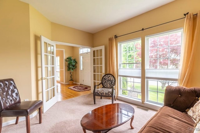 8228 Dampier Cir, Clay, NY 13090 - sitting room featuring french doors, carpet flooring, and plenty of natural light