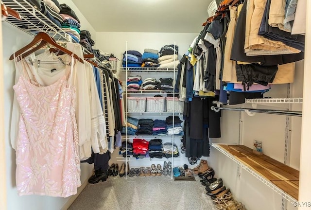 8228 Dampier Cir, Clay, NY 13090 - walk in closet with carpet floors