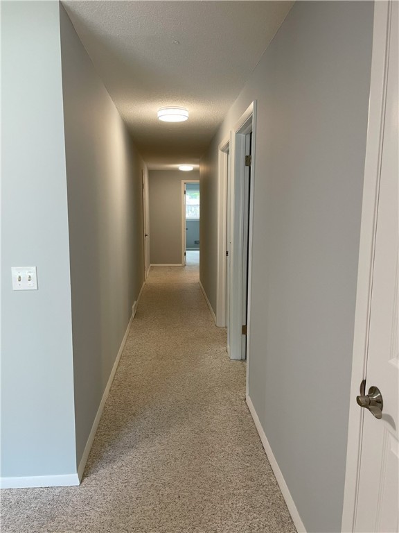 75 Towpath Ln, Brighton, NY 14618 - hallway with light carpet and a textured ceiling