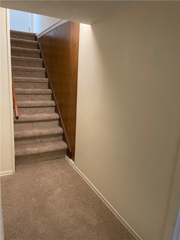 75 Towpath Ln, Brighton, NY 14618 - stairs featuring carpet flooring and wood walls