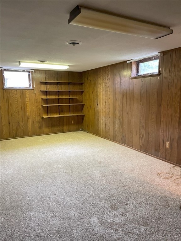 75 Towpath Ln, Brighton, NY 14618 - basement with wood walls, carpet floors, and healthy amount of natural light
