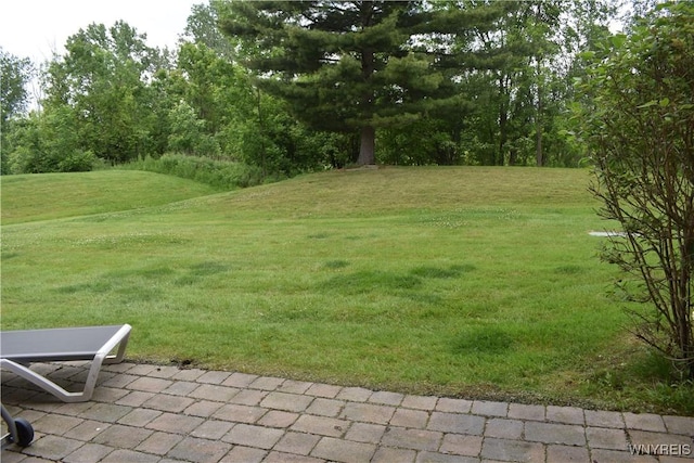 10 Southcreek Ct Unit B, Amherst, NY 14051 - photo 31