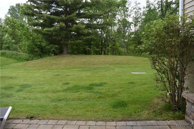 10 Southcreek Ct Unit B, Amherst, NY 14051 - photo 32