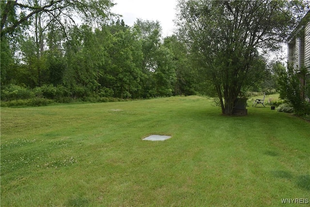 10 Southcreek Ct Unit B, Amherst, NY 14051 - photo 33