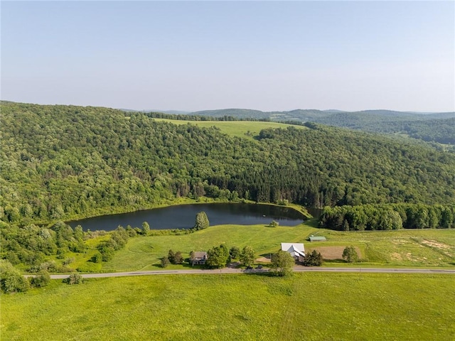 1870 Carey Rd, Franklin, NY 13775 - aerial view of a forest and a nearby body of water