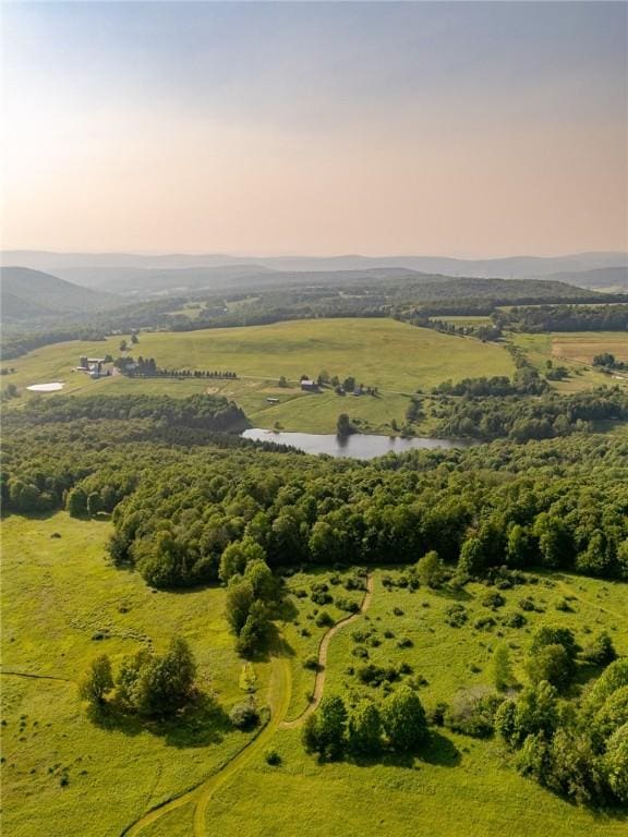 1870 Carey Rd, Franklin, NY 13775 - aerial view at dusk of a water view