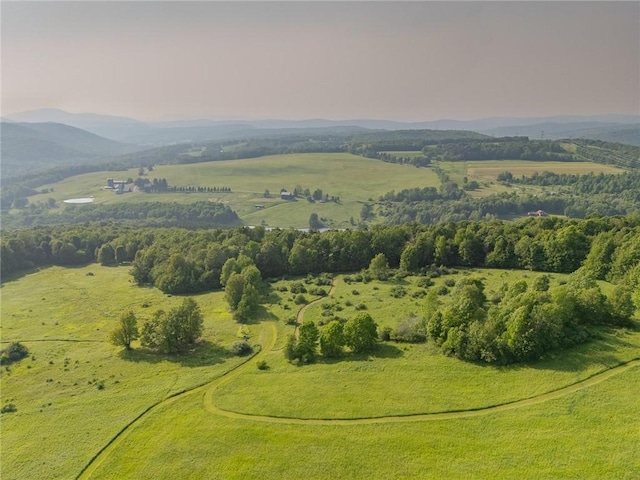 1870 Carey Rd, Franklin, NY 13775 - view of property location with mountains