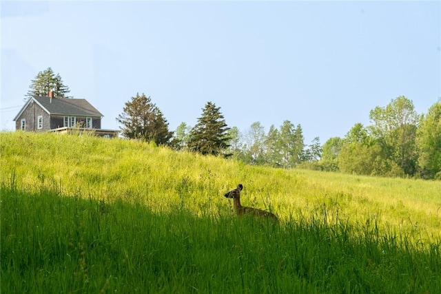 1870 Carey Rd, Franklin, NY 13775 - view of undeveloped land