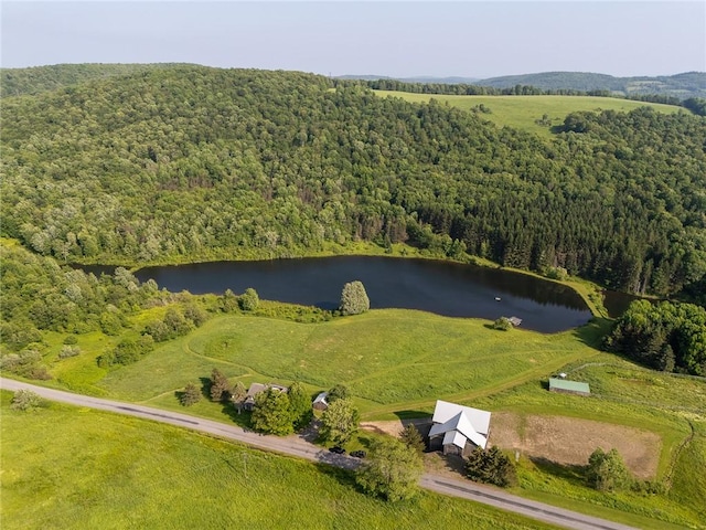 1870 Carey Rd, Franklin, NY 13775 - aerial view of a forest and a large body of water