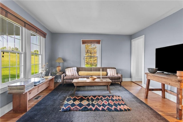 1870 Carey Rd, Franklin, NY 13775 - living room featuring wood finished floors and baseboards