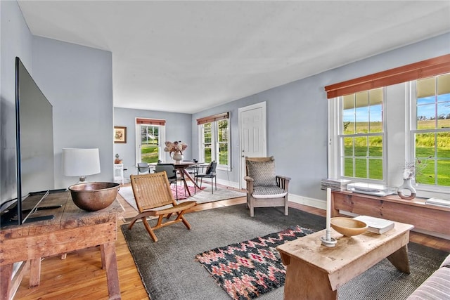 1870 Carey Rd, Franklin, NY 13775 - living room with wood finished floors and baseboards