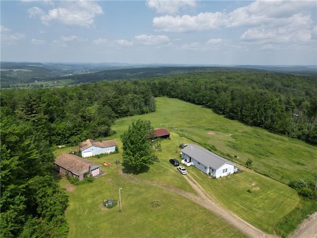 2313 Stickle Rd, Addison, NY 14801 - aerial view of a forest