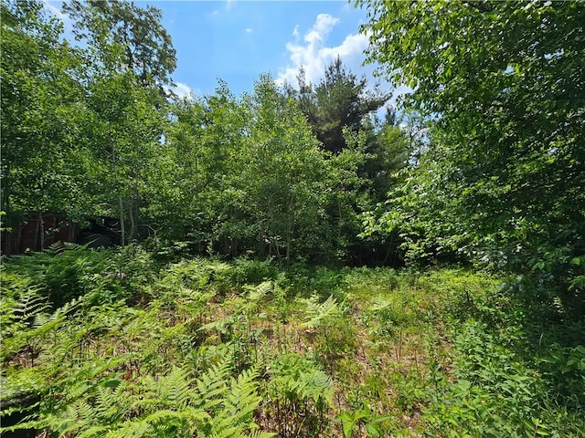 2313 Stickle Rd, Addison, NY 14801 - view of undeveloped land