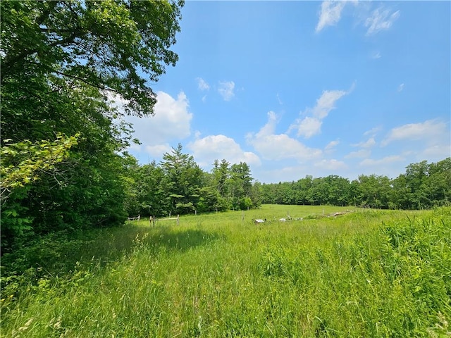 2313 Stickle Rd, Addison, NY 14801 - view of tree filled area