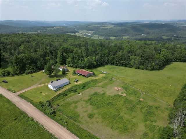 2313 Stickle Rd, Addison, NY 14801 - aerial overview of property's location with a forest and rural landscape