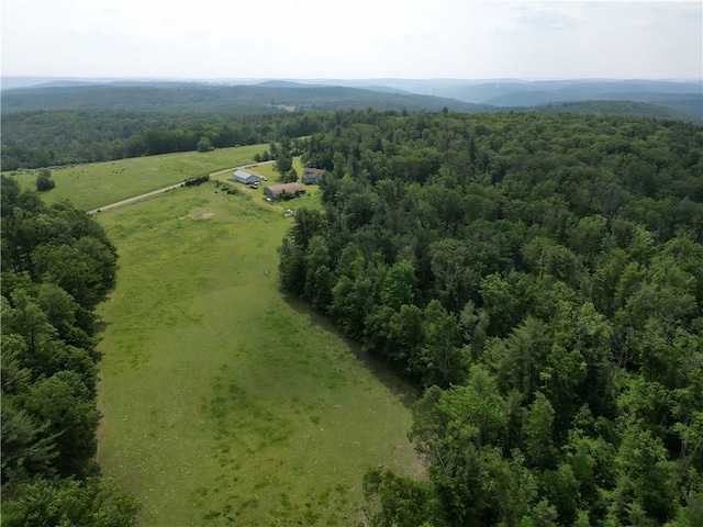 2313 Stickle Rd, Addison, NY 14801 - aerial view of sparsely populated area featuring a forest