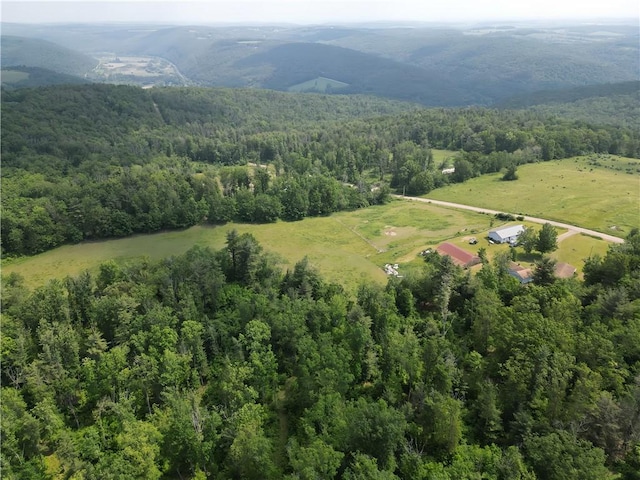2313 Stickle Rd, Addison, NY 14801 - aerial view of a mountainous background
