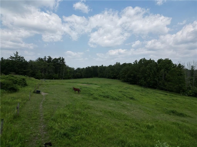 2313 Stickle Rd, Addison, NY 14801 - view of grassy yard featuring a rural view and a wooded view