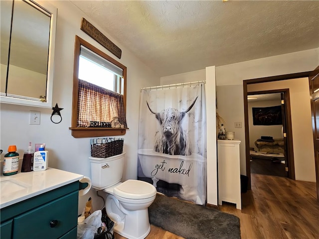 2313 Stickle Rd, Addison, NY 14801 - bathroom with wood finished floors, vanity, a textured ceiling, and curtained shower