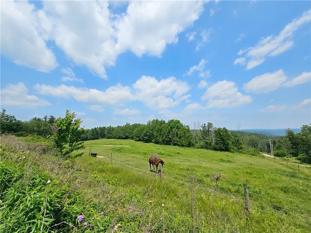 2313 Stickle Rd, Addison, NY 14801 - view of yard featuring a view of countryside