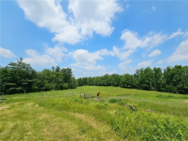 2313 Stickle Rd, Addison, NY 14801 - view of yard with a rural view and a forest view