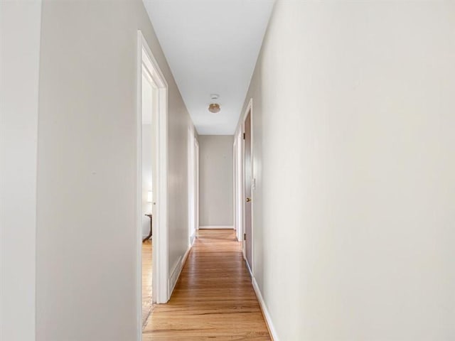 40 Colleen, Henrietta, NY 14534 - hall with light wood-style floors and baseboards