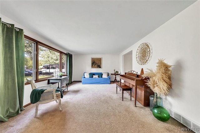 47 Brian Ave, Amherst, NY 14221 - sitting room with carpet flooring