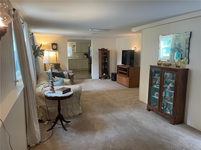 100 Huffer Rd, Parma, NY 14468 - living area with carpet flooring