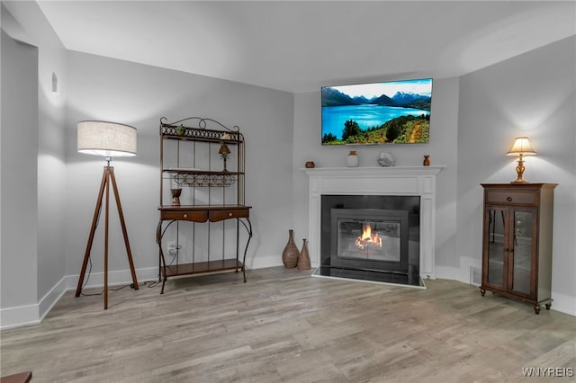 1202 Netherton Ct, Amherst, NY 14051 - living area featuring wood finished floors and a glass covered fireplace