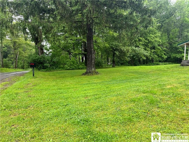 151 Chipmonk Rd, Allegany, NY 14753 - view of green lawn featuring a view of trees